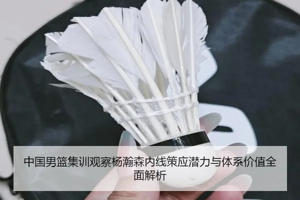 中国男篮集训观察杨瀚森内线策应潜力与体系价值全面解析